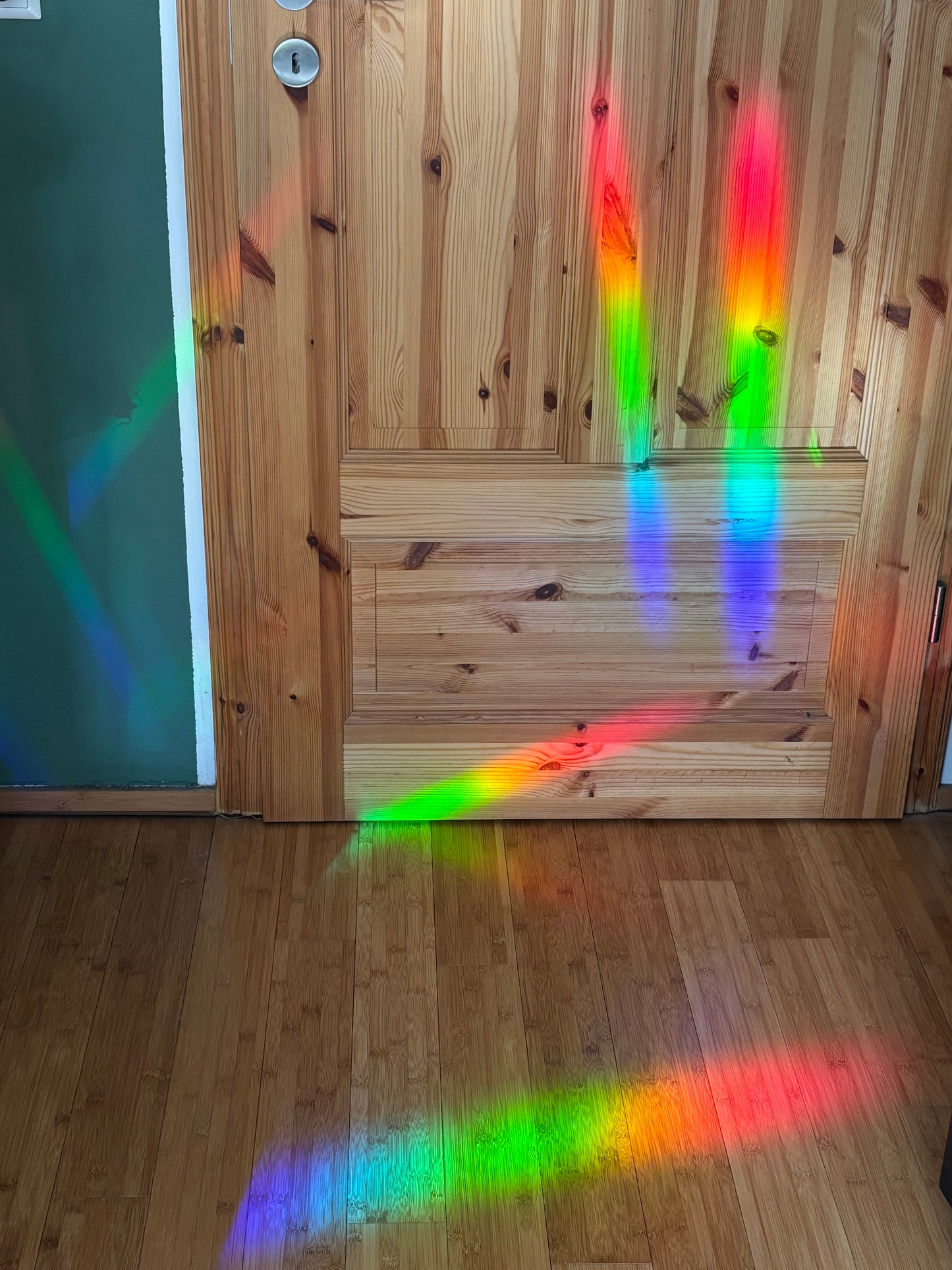 Jochen der Rochen Suncatcher